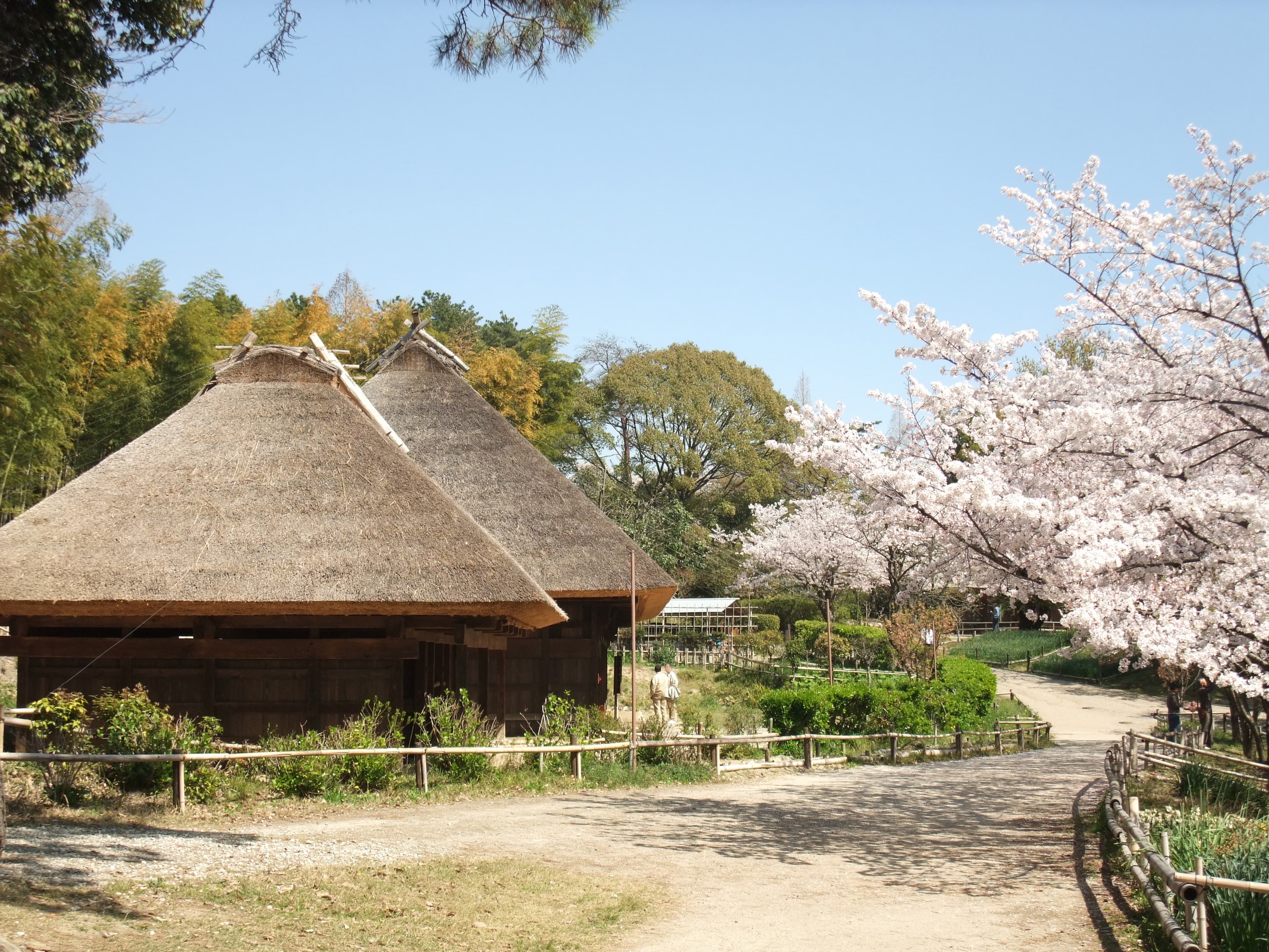日本民家集落博物館