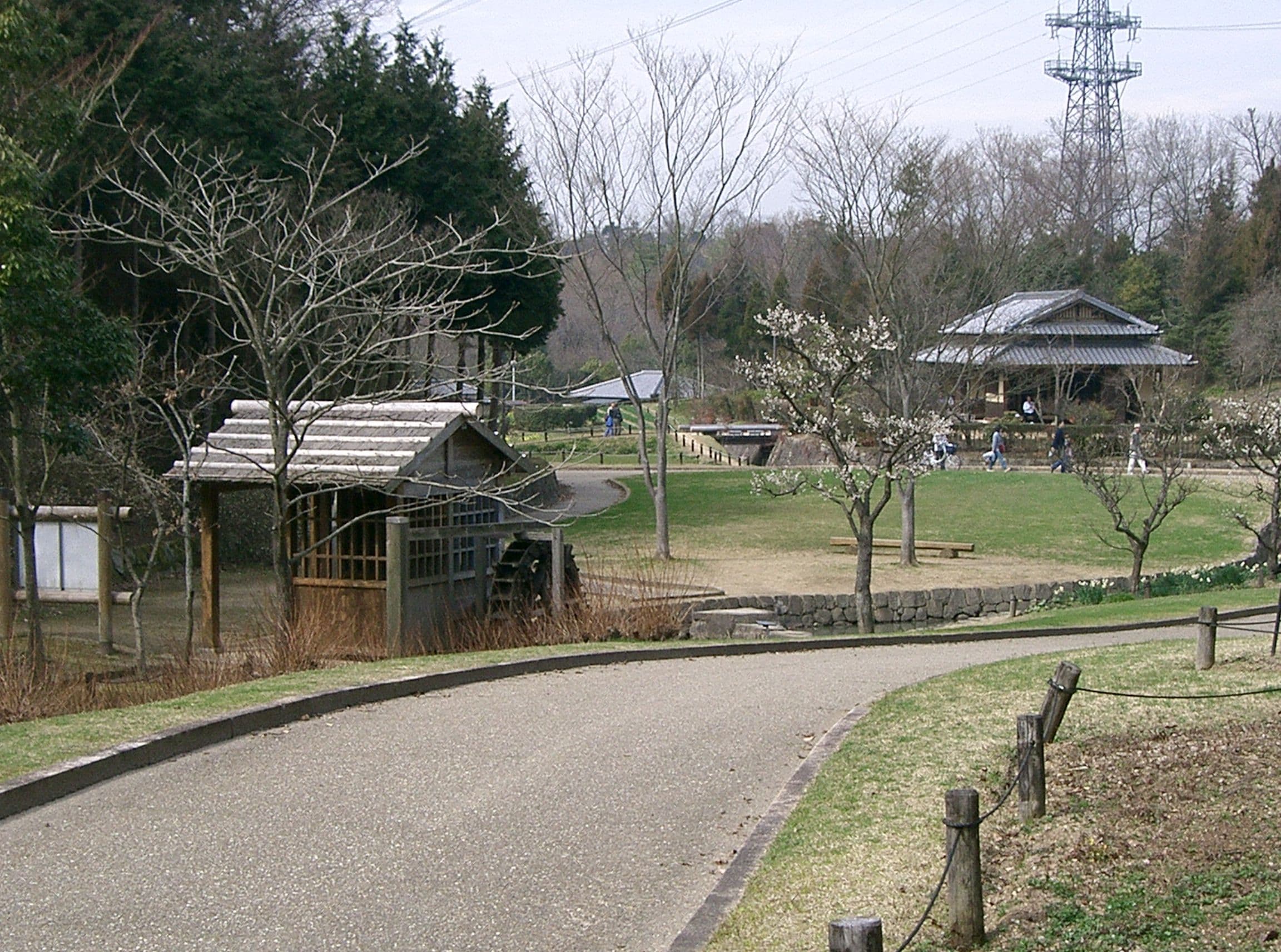錦織公園