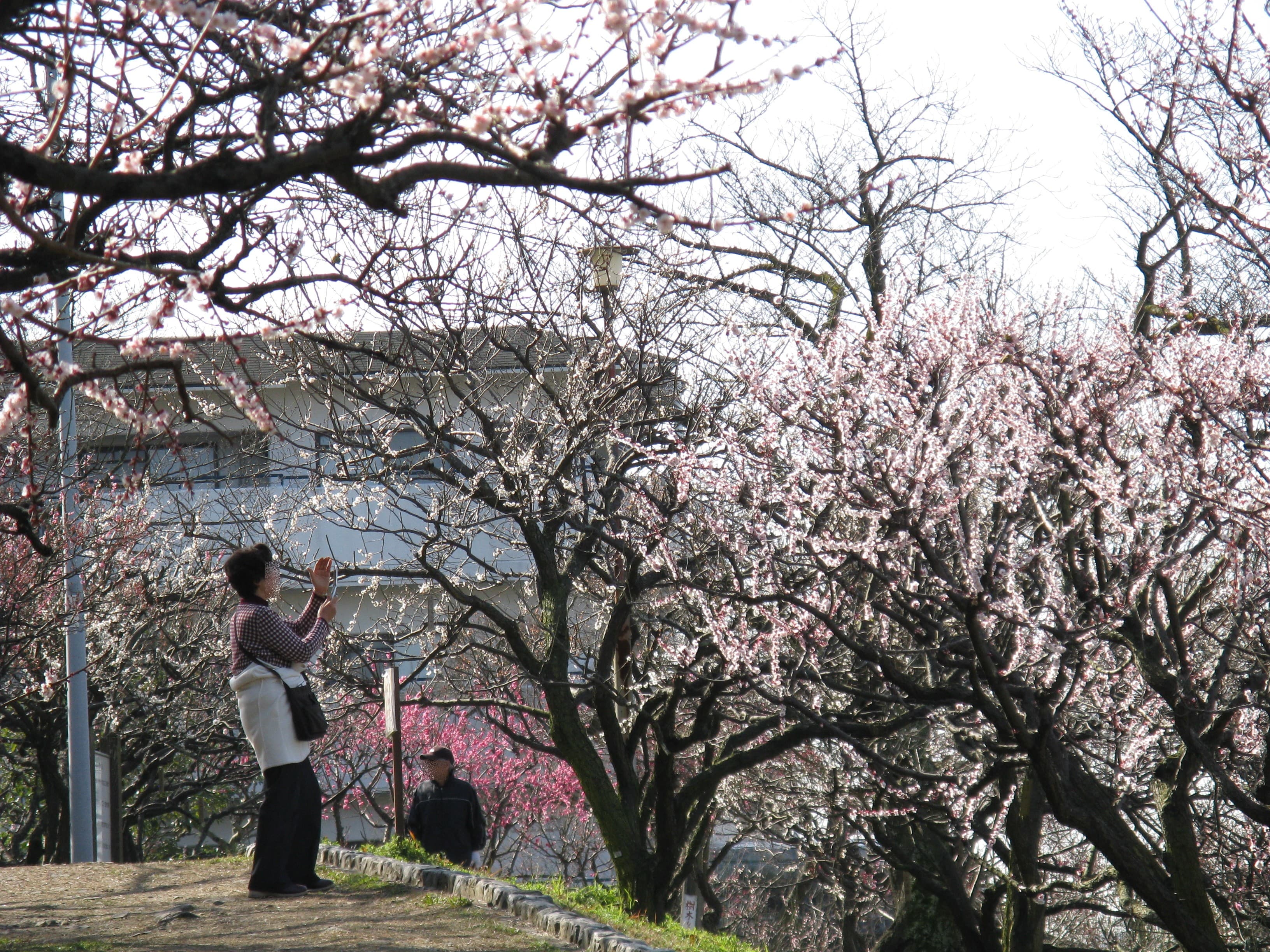 枚岡公園