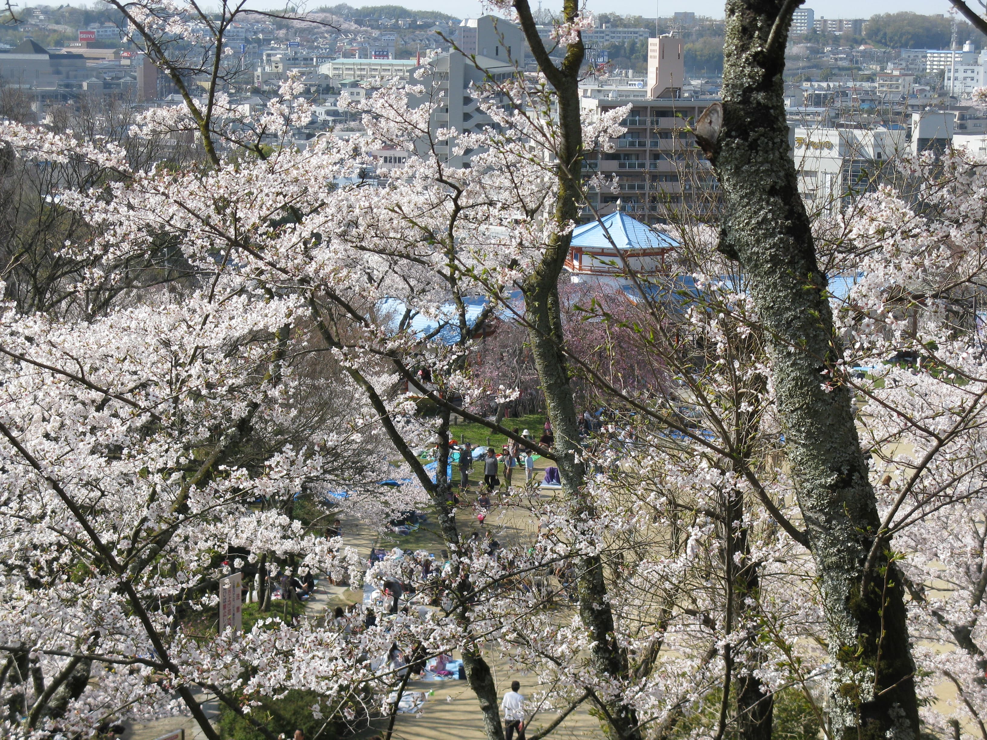長野公園