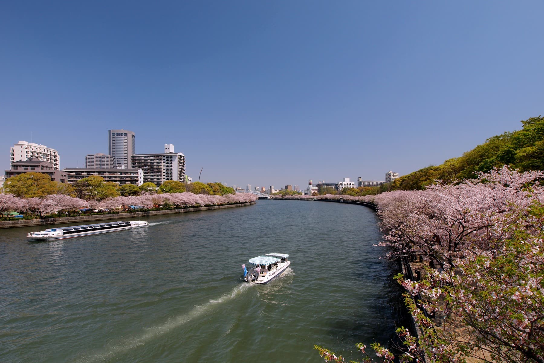 毛馬桜之宮公園