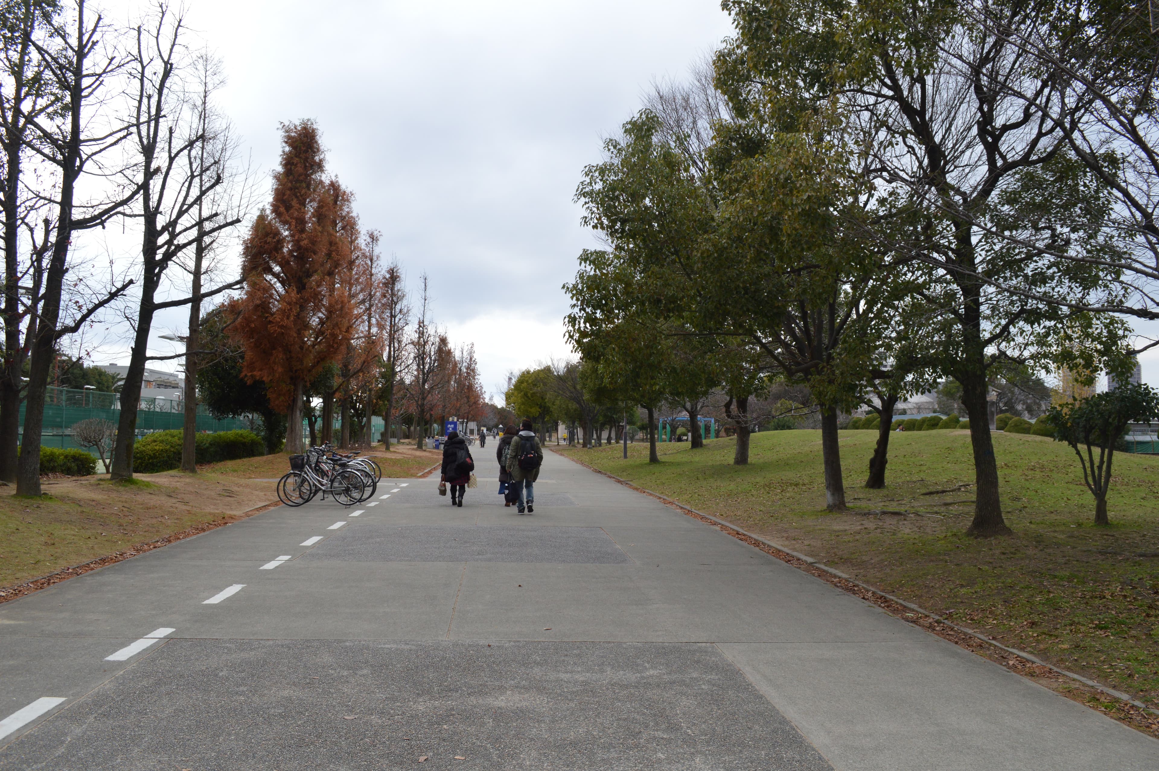 金岡公園