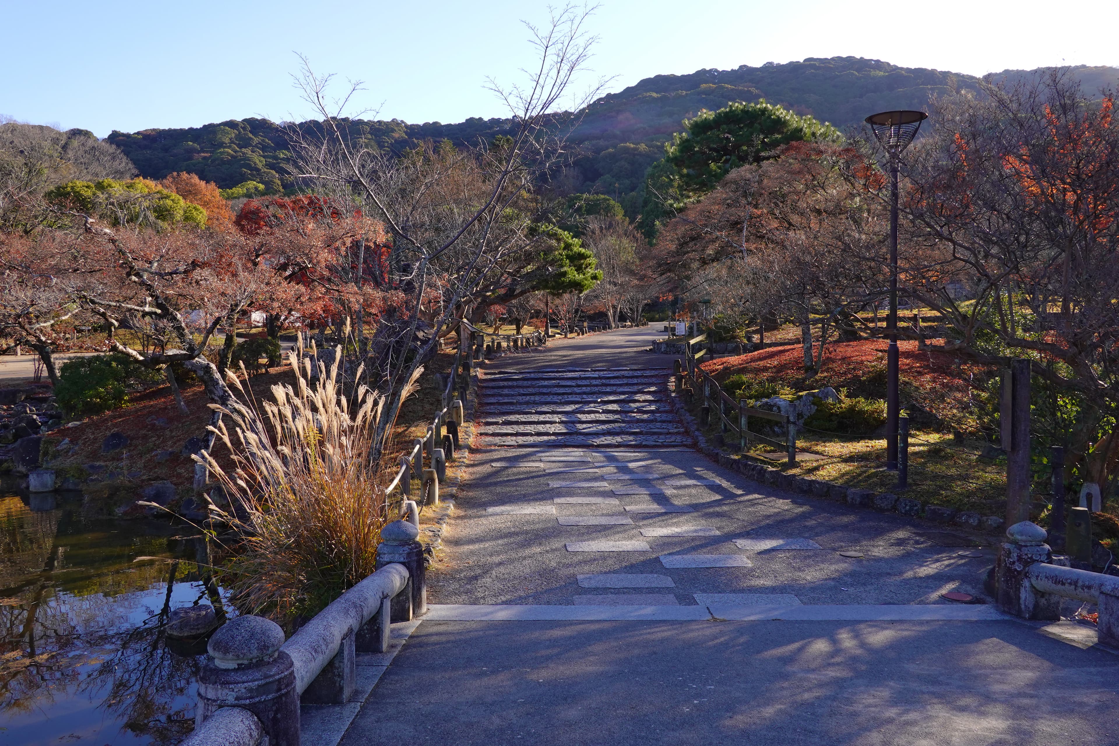 円山公園