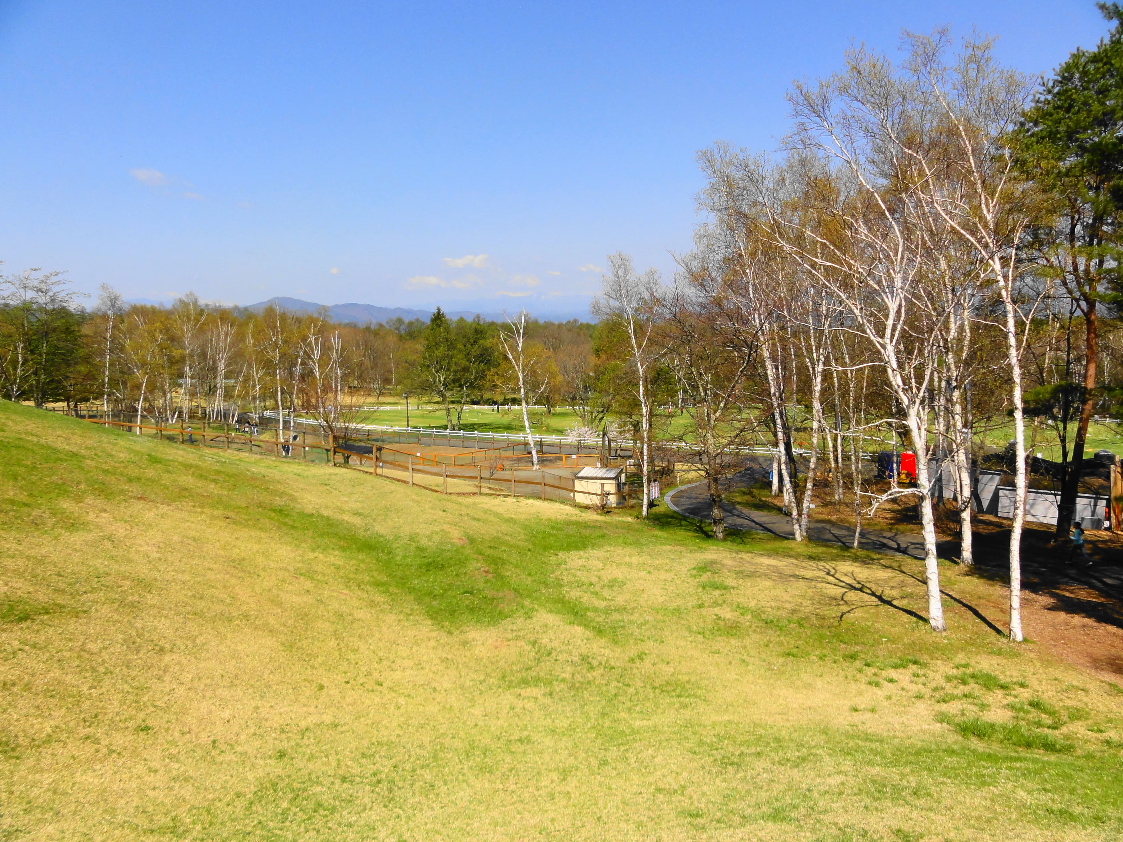 八ヶ岳自然文化園