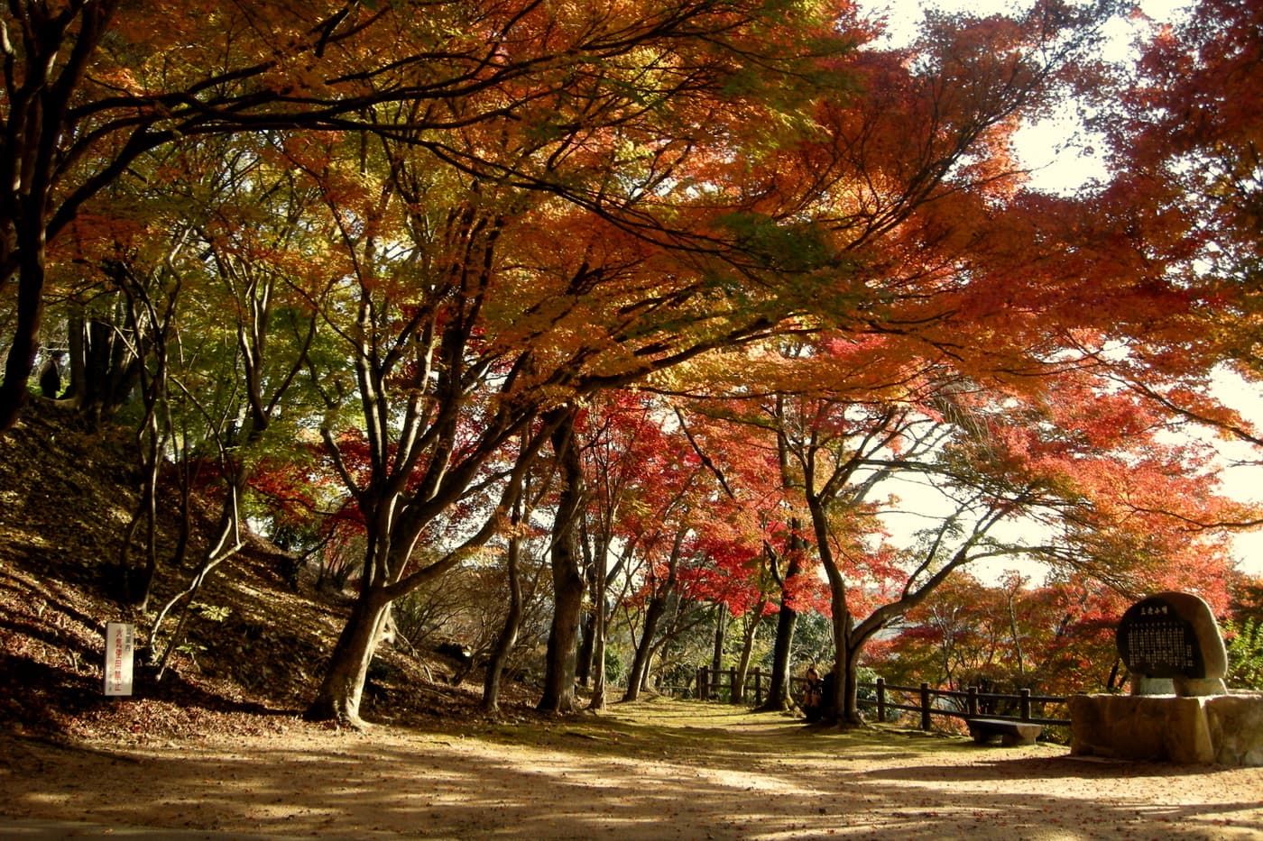 尾関山公園