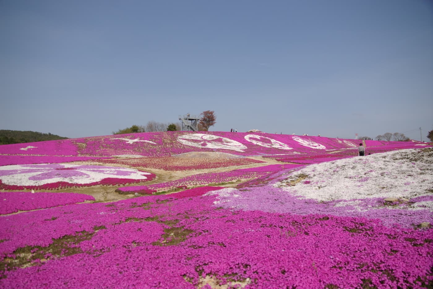 Flower village 花夢の里