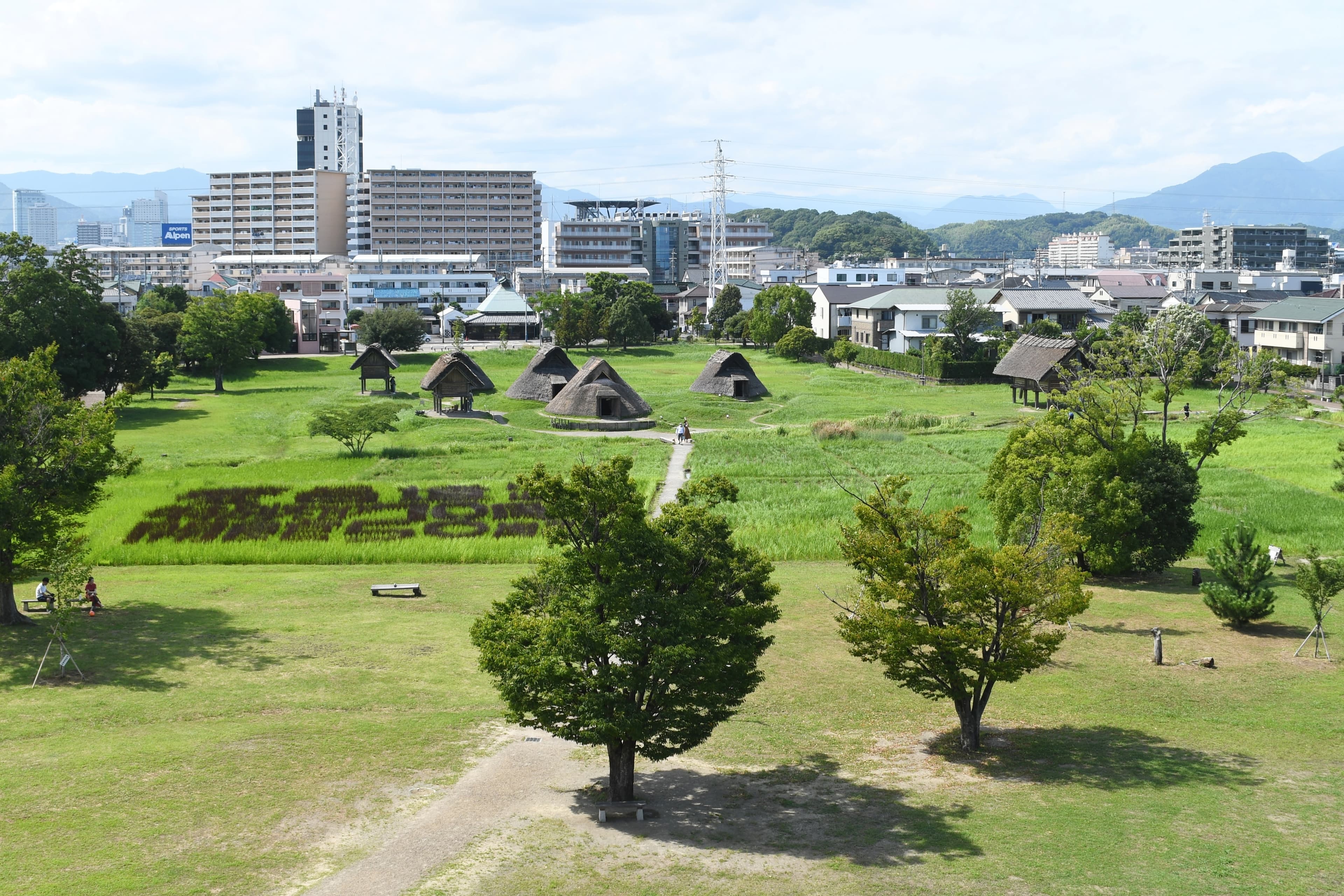 静岡市立登呂博物館・登呂遺跡