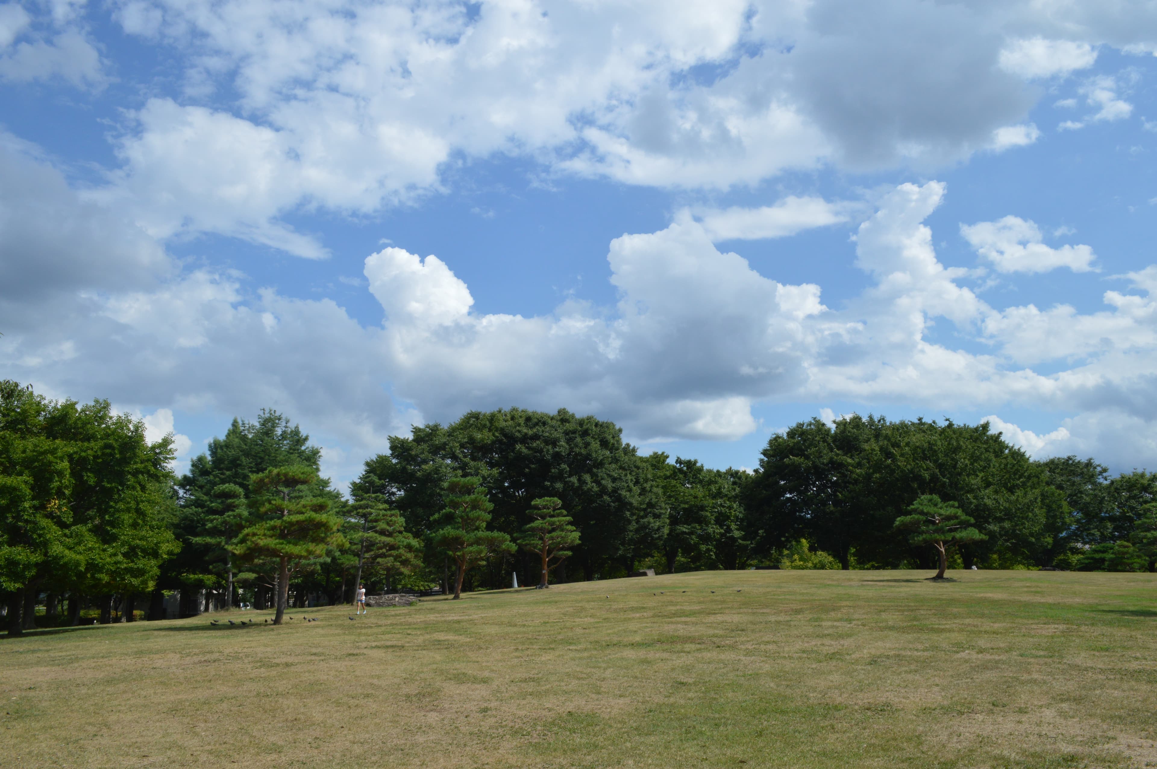 若里公園
