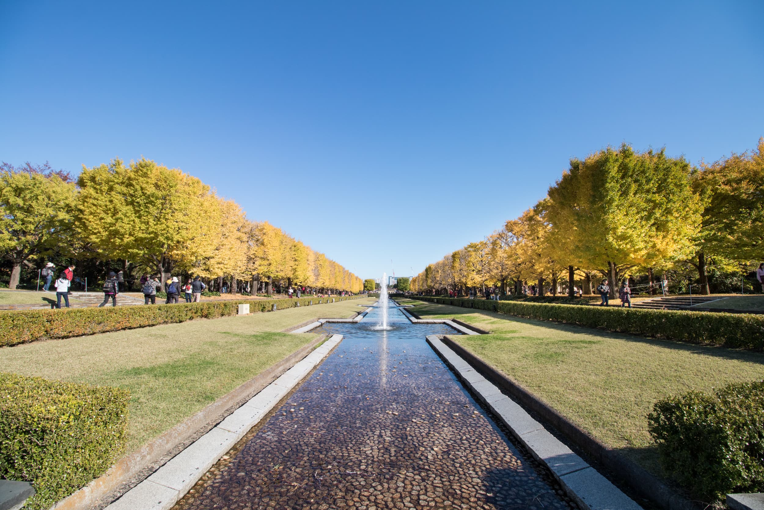 国営昭和記念公園