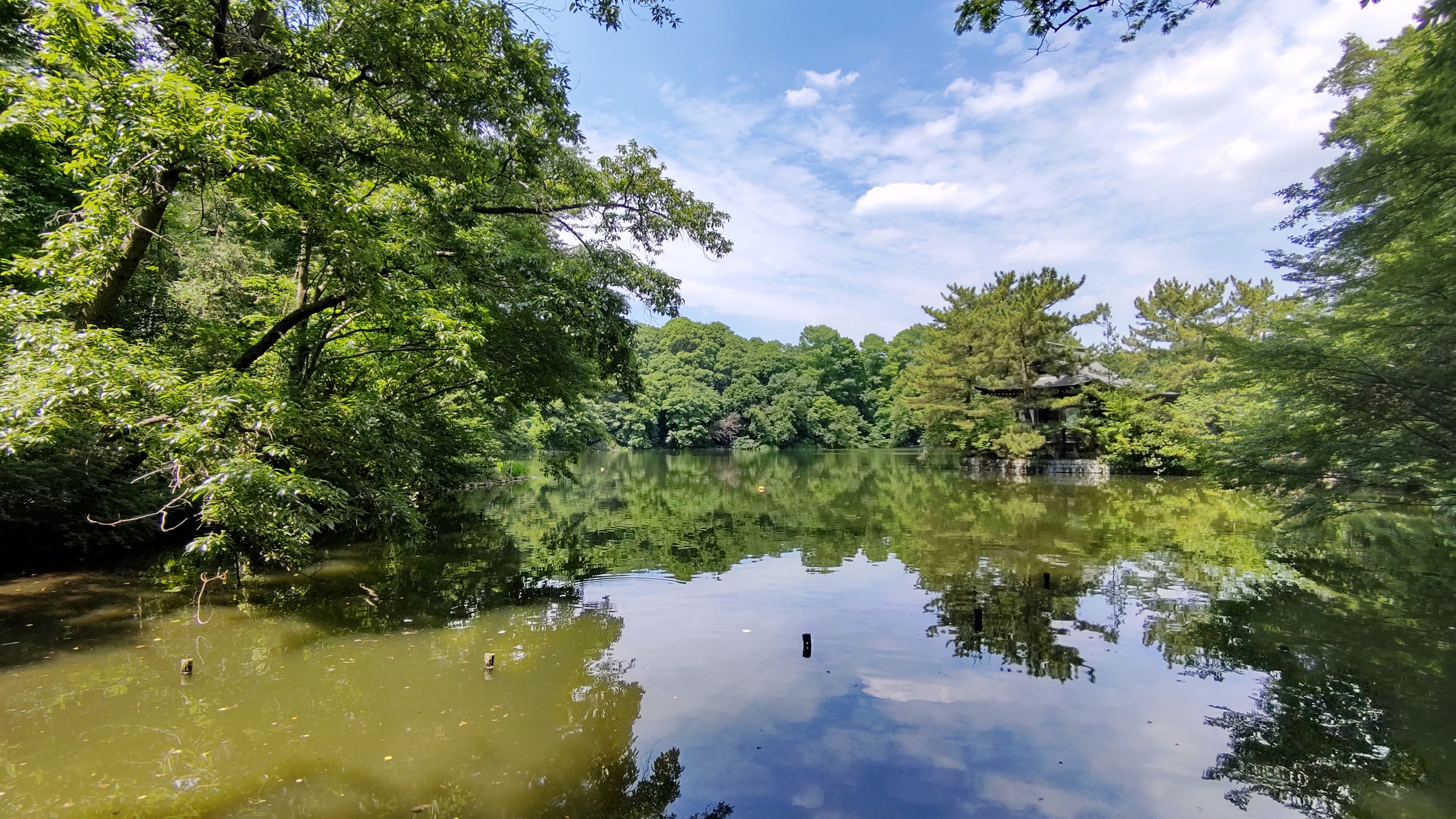 石神井公園