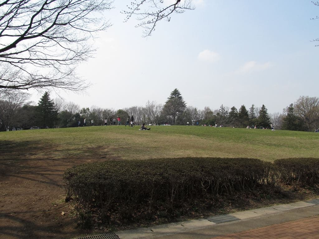 府中の森公園