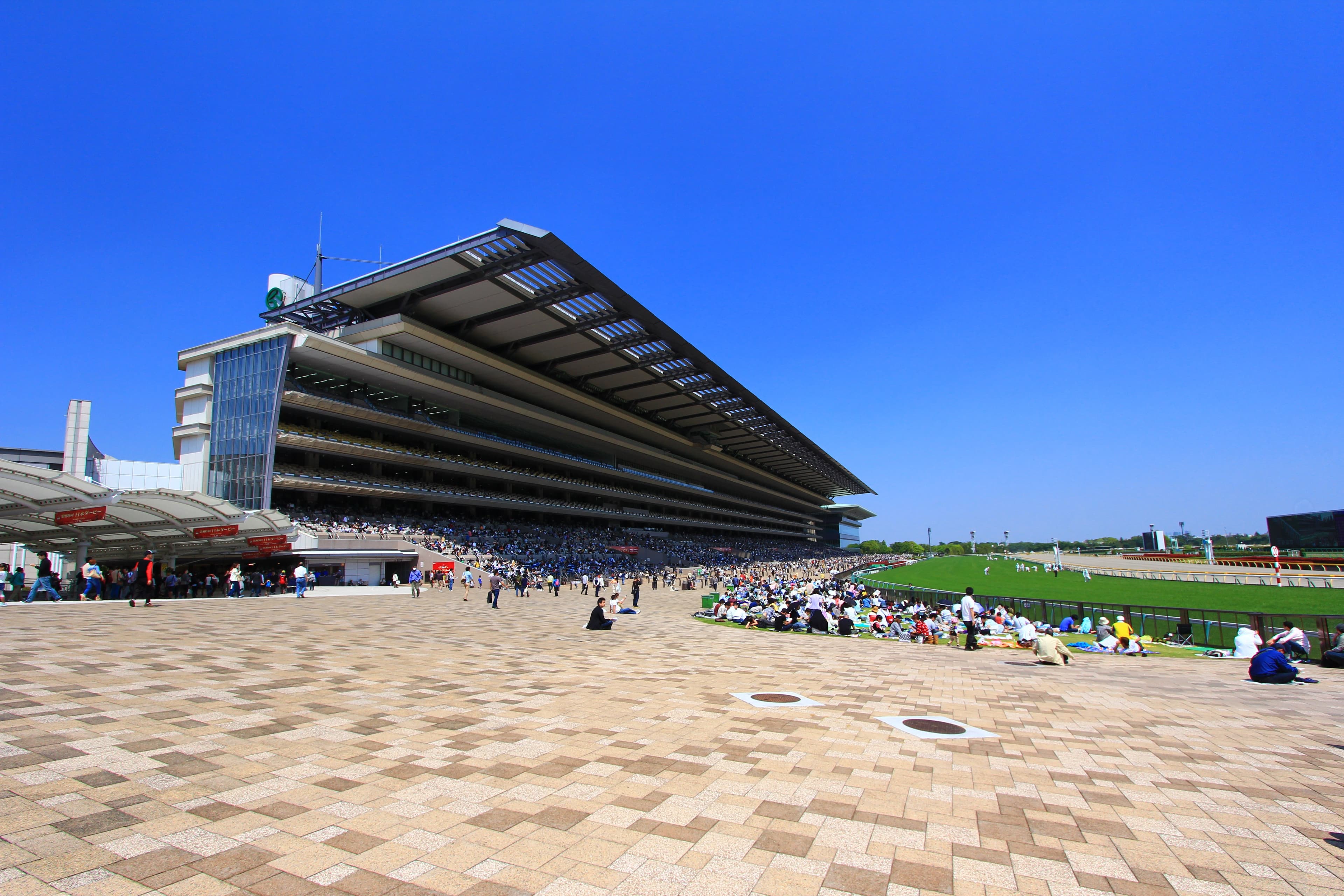 東京競馬場(子供向けエリア)