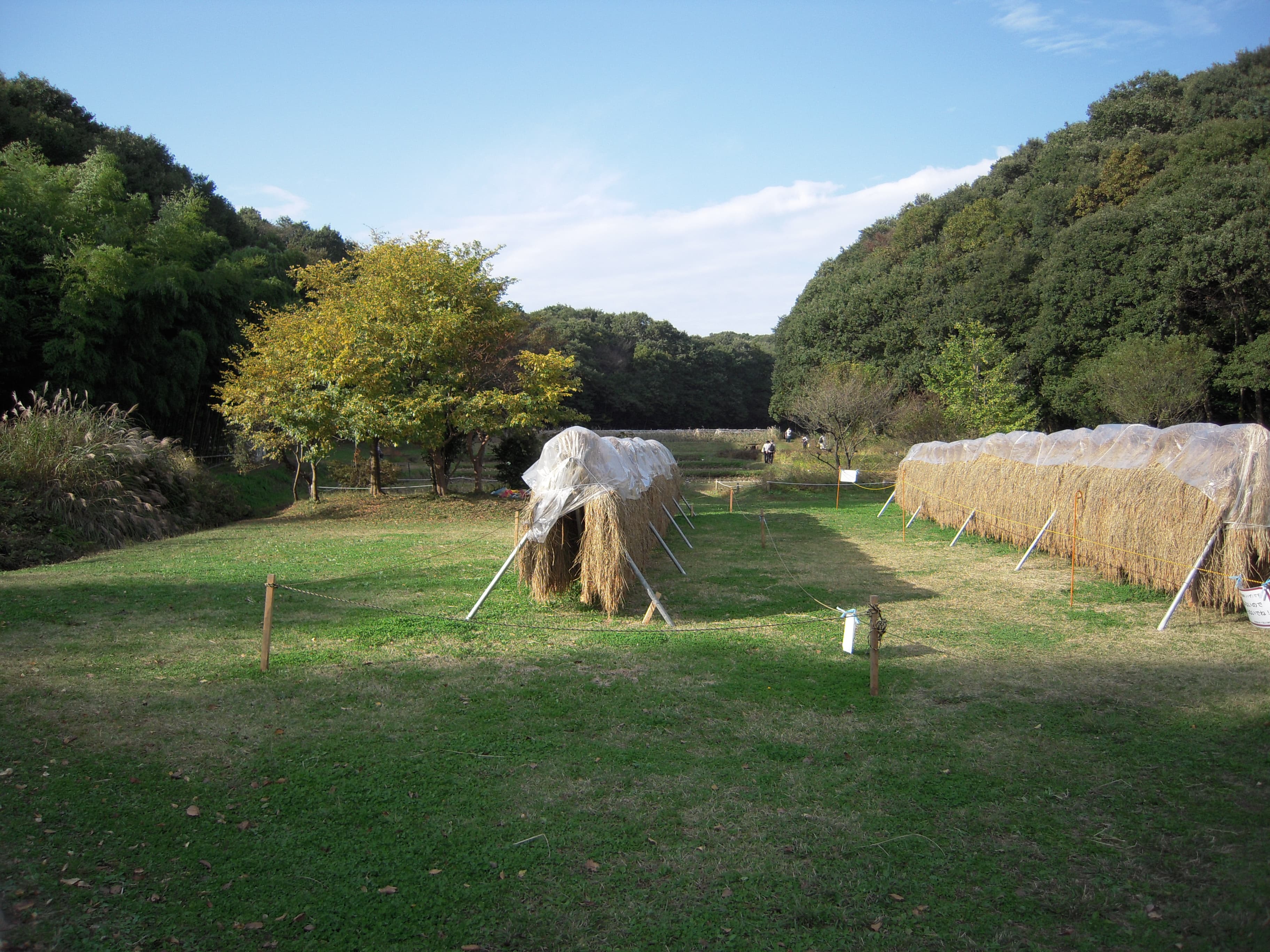 野山北・六道山公園