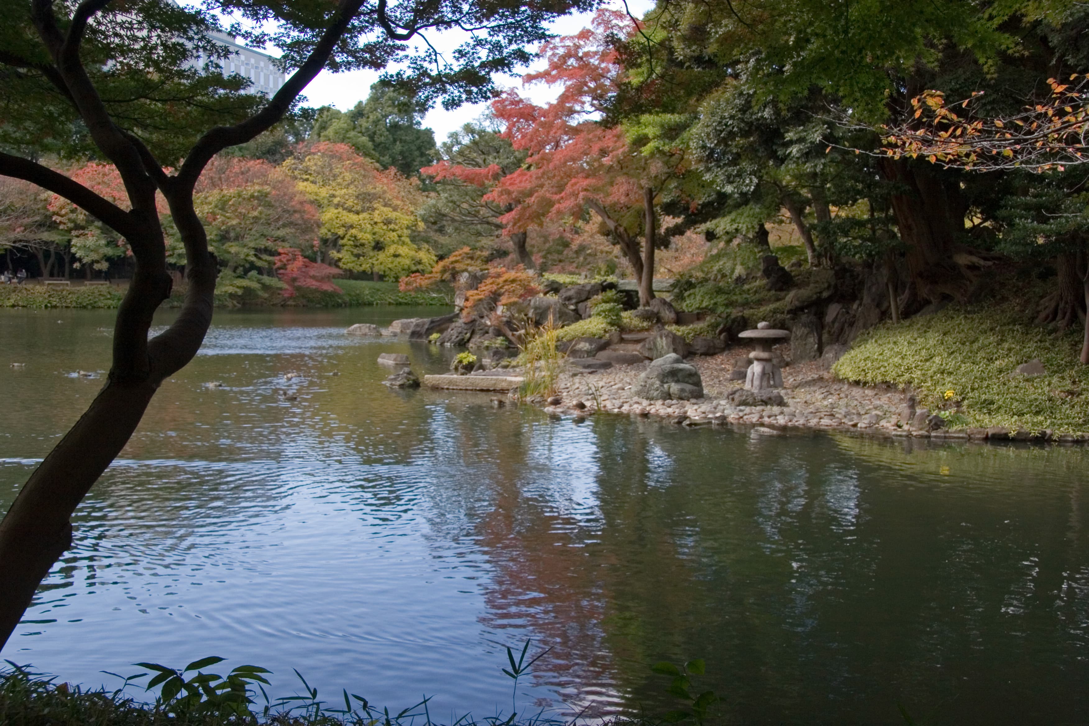 小石川後楽園