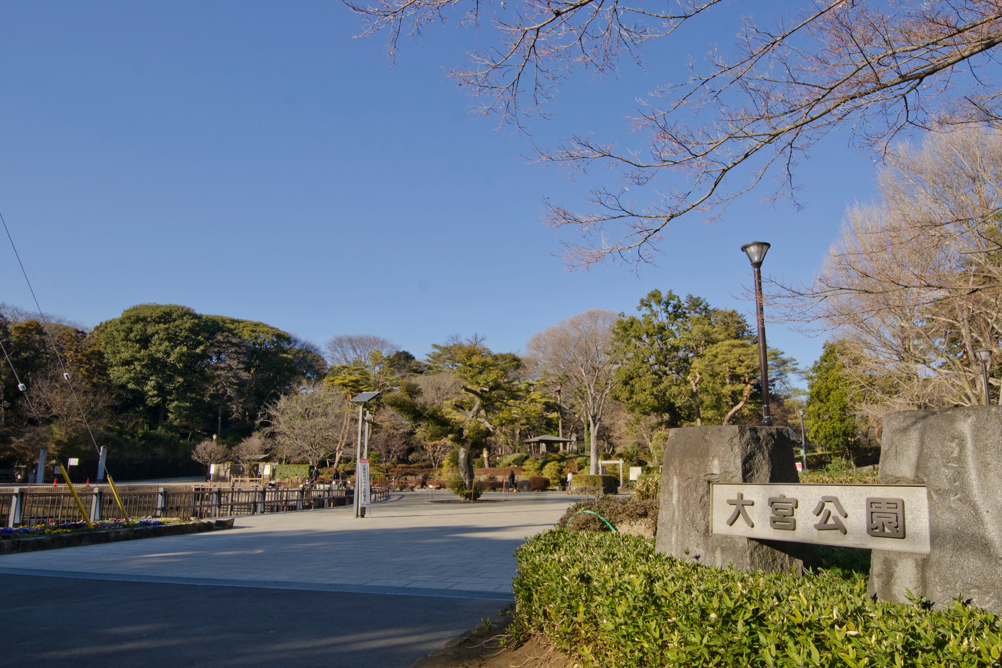 大宮公園