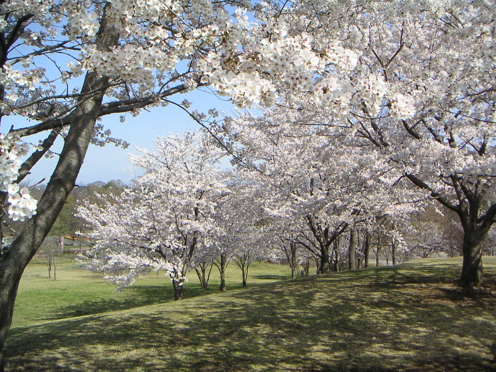 熊谷スポーツ文化公園