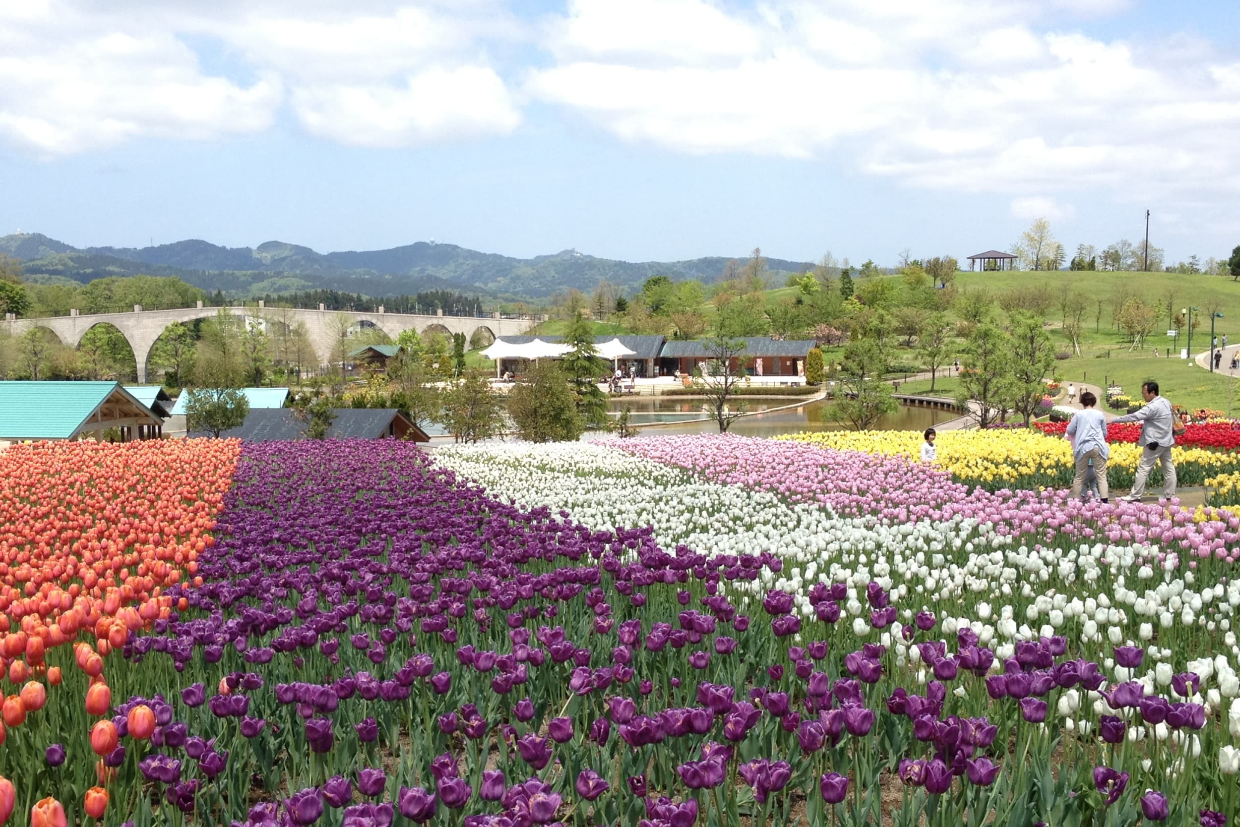 国営越後丘陵公園
