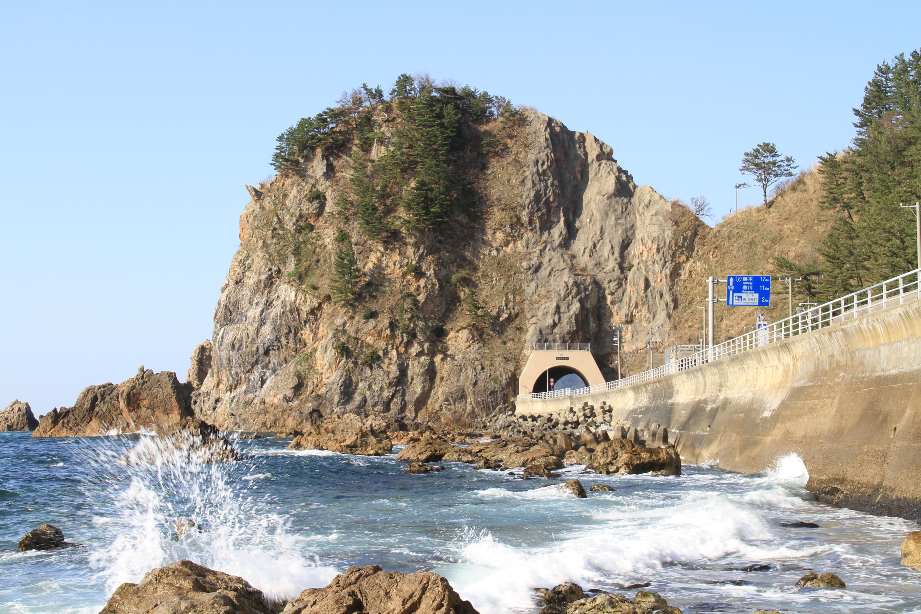 笹川流れ(村上)
