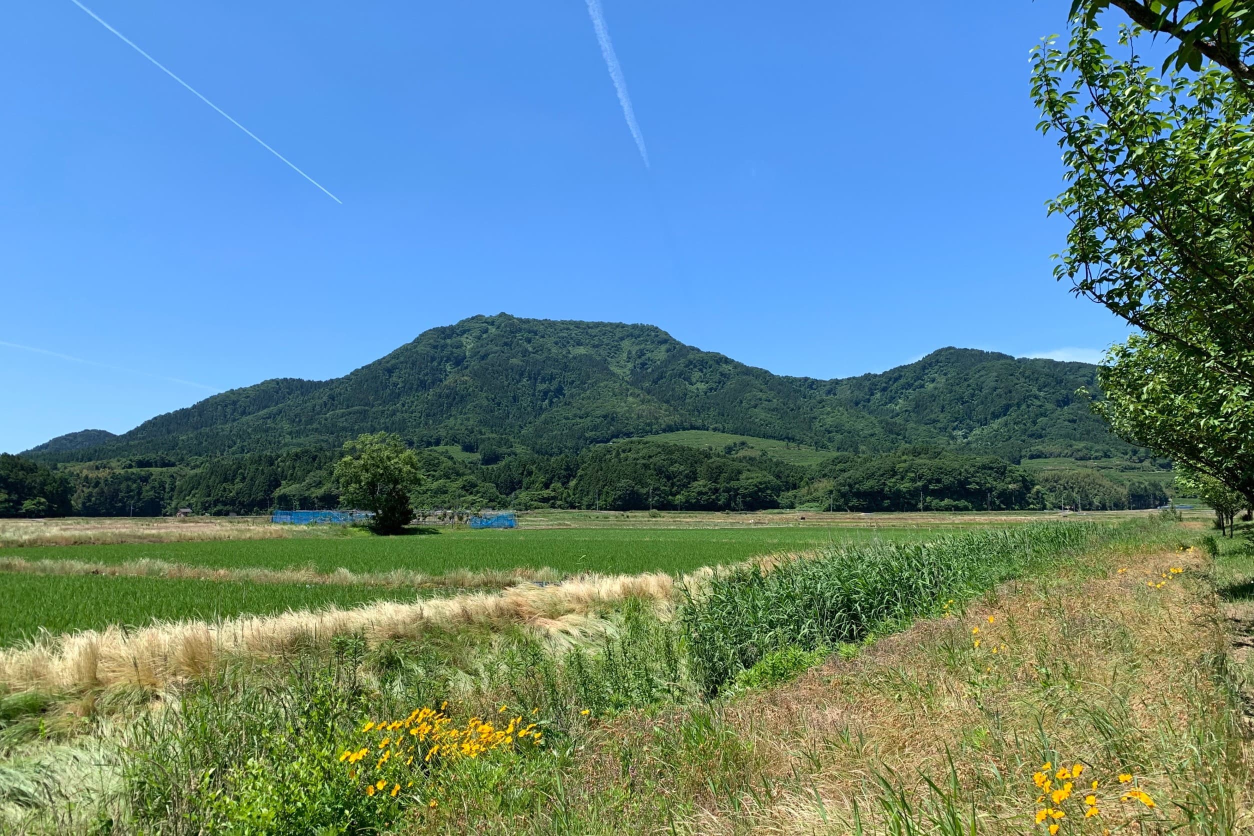 角田山(角田岬・登山口)