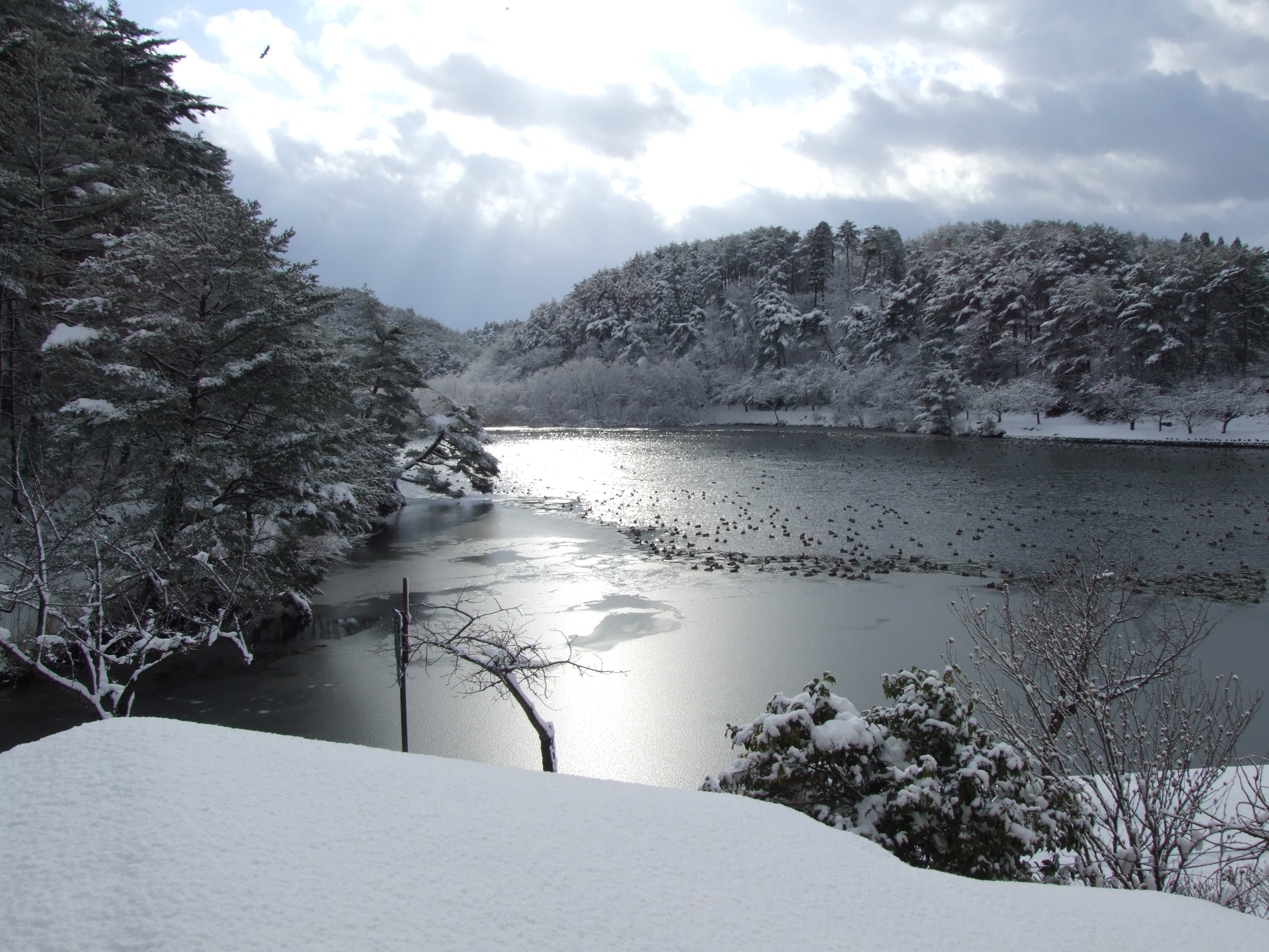 五十公野公園(いじみのこうえん)