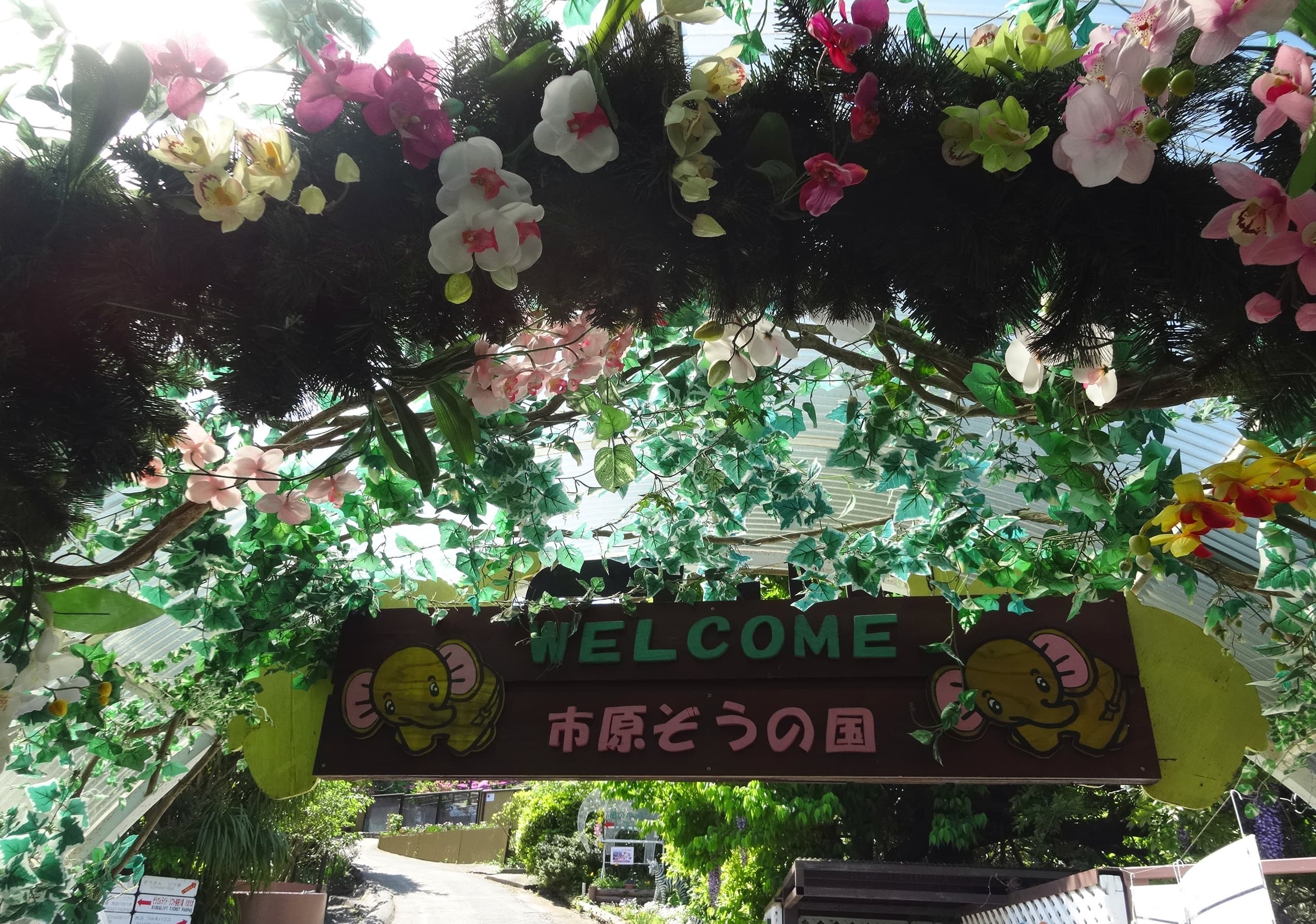 市原ぞうの国