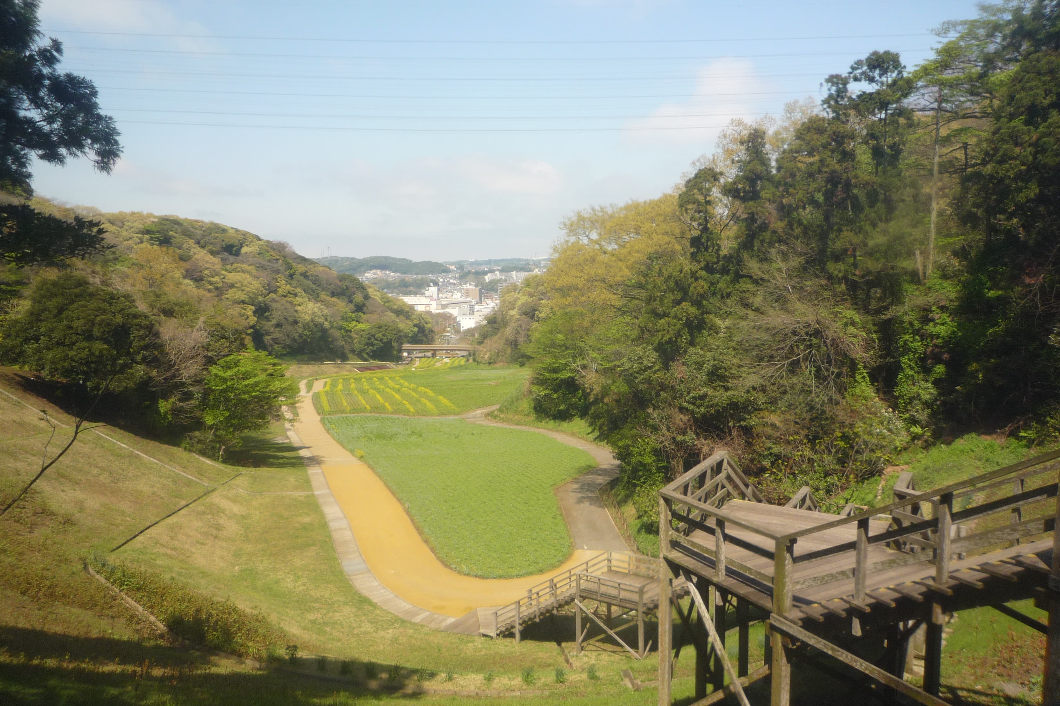 くりはま花の国